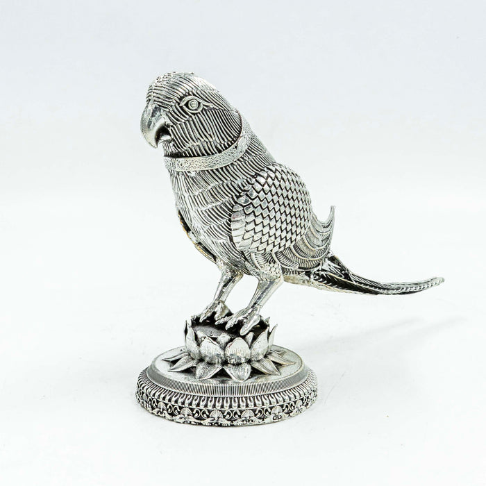 Brass Parrot Adorned in Antique Silver