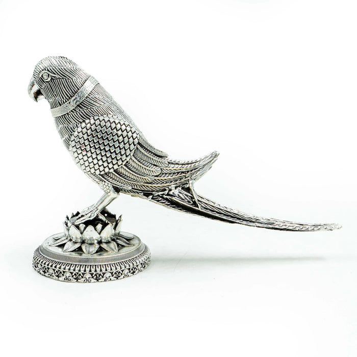 Brass Parrot Adorned in Antique Silver