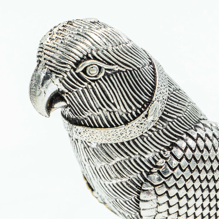 Brass Parrot Adorned in Antique Silver