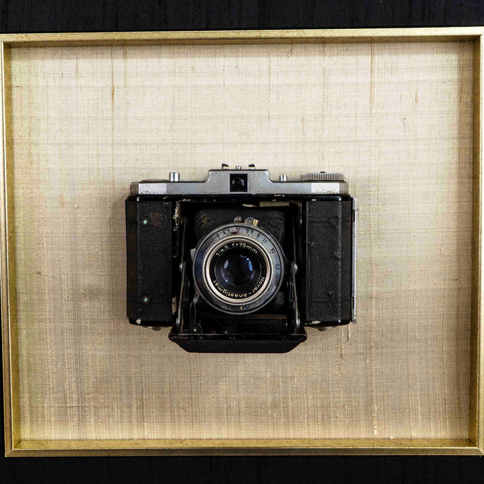 Vintage Camera With Frame ASSORTED
