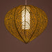 Zen Physalis Pendant Lamp