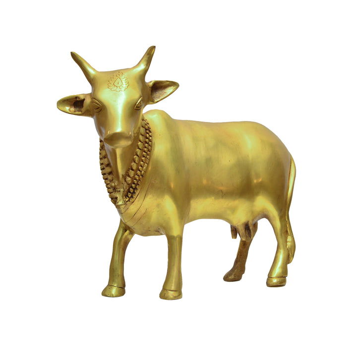 Nandi Cow- Gold