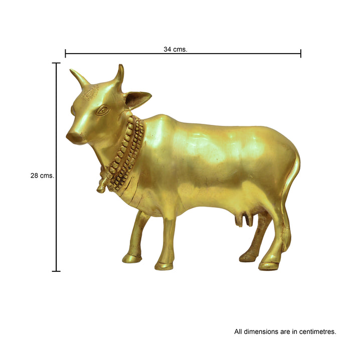 Nandi Cow- Gold
