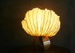 Flame of Forest convex Table Lamp