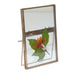 Elan Photo Frame With Stand INAP