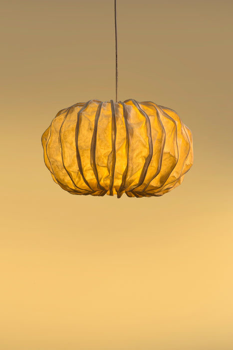 Sea Urchin Round Pendant Lamp