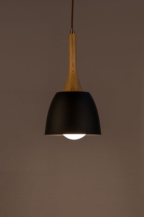 Blake Pendant Lamp (Black & Gold)
