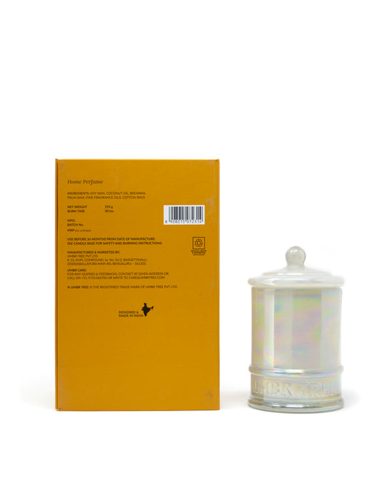 Dakshin Woods Fragrance Candle-Glass Jar (Medium) UTRC